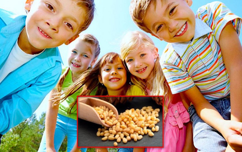 Кедровые орехи польза и вред для детей thumbnail