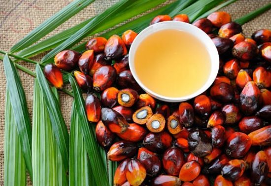 пальмовое масло для беременных